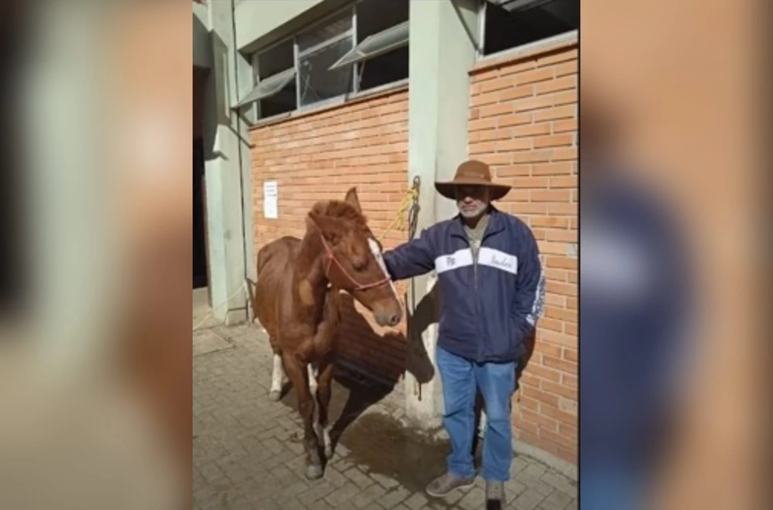“Fiquei sabendo pela TV”, diz suposto dono do cavalo Caramelo no RS