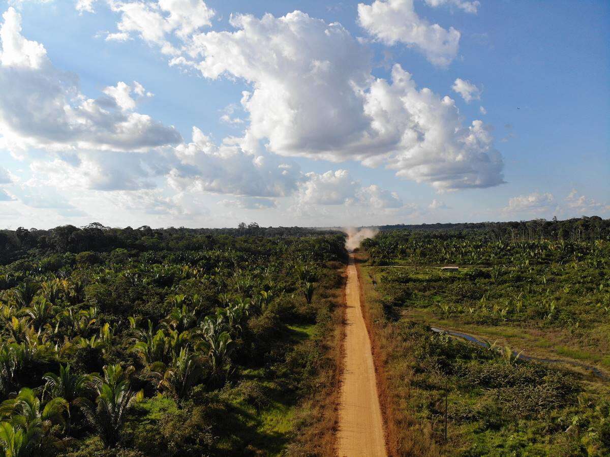 BR-319: após cair liminar, governo retoma estudos para destravar obras