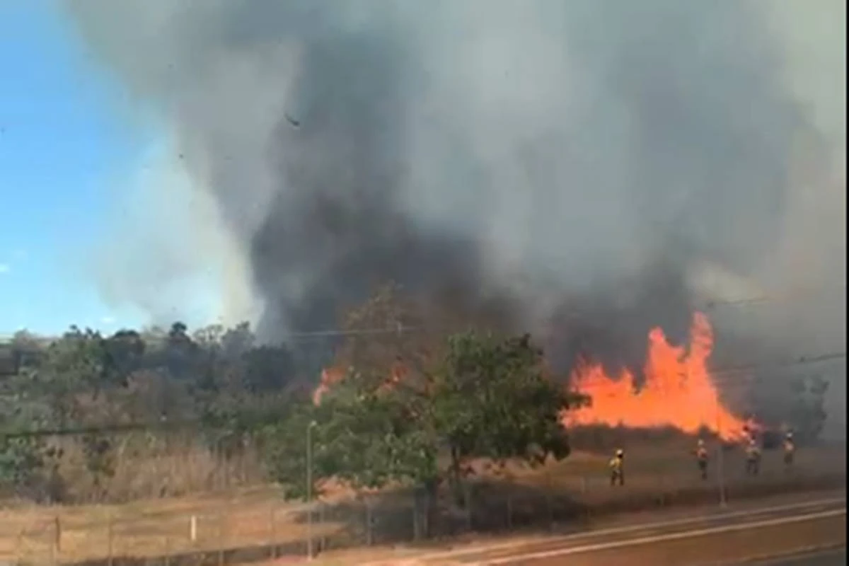Vídeo: incêndio atinge parque entre o Noroeste e a Asa Norte