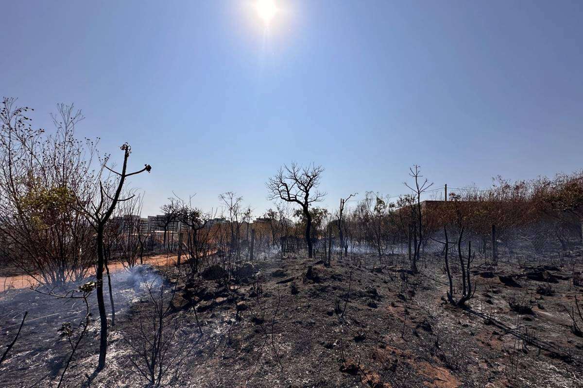 Cidades campeãs em queimadas elegem prefeitos com multas ambientais