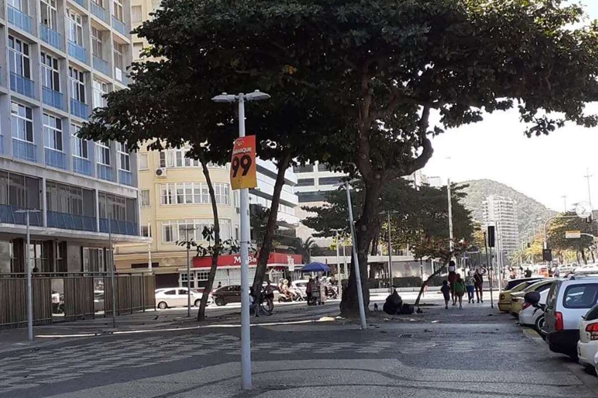 Médico francês é condenado por deixar cachorro solto em Copacabana