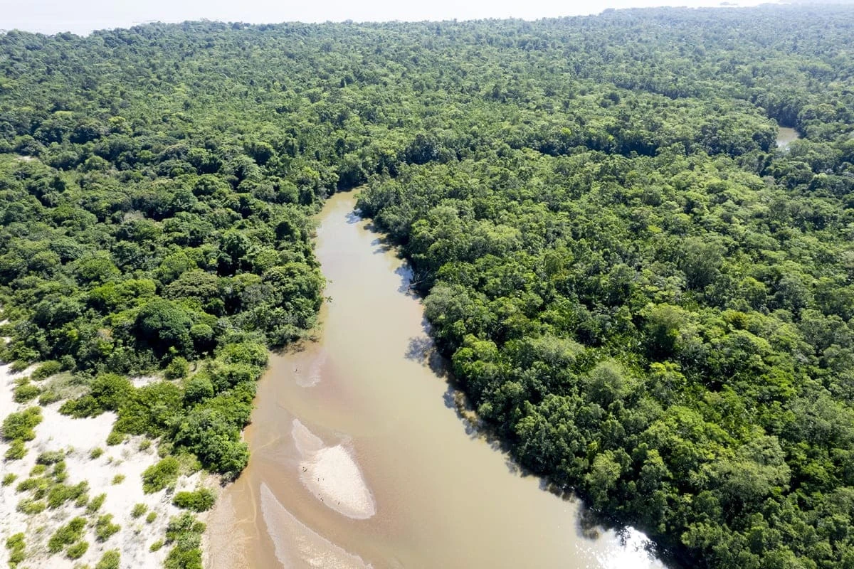 MPF quer anular contrato bilionário de venda de créditos de carbono