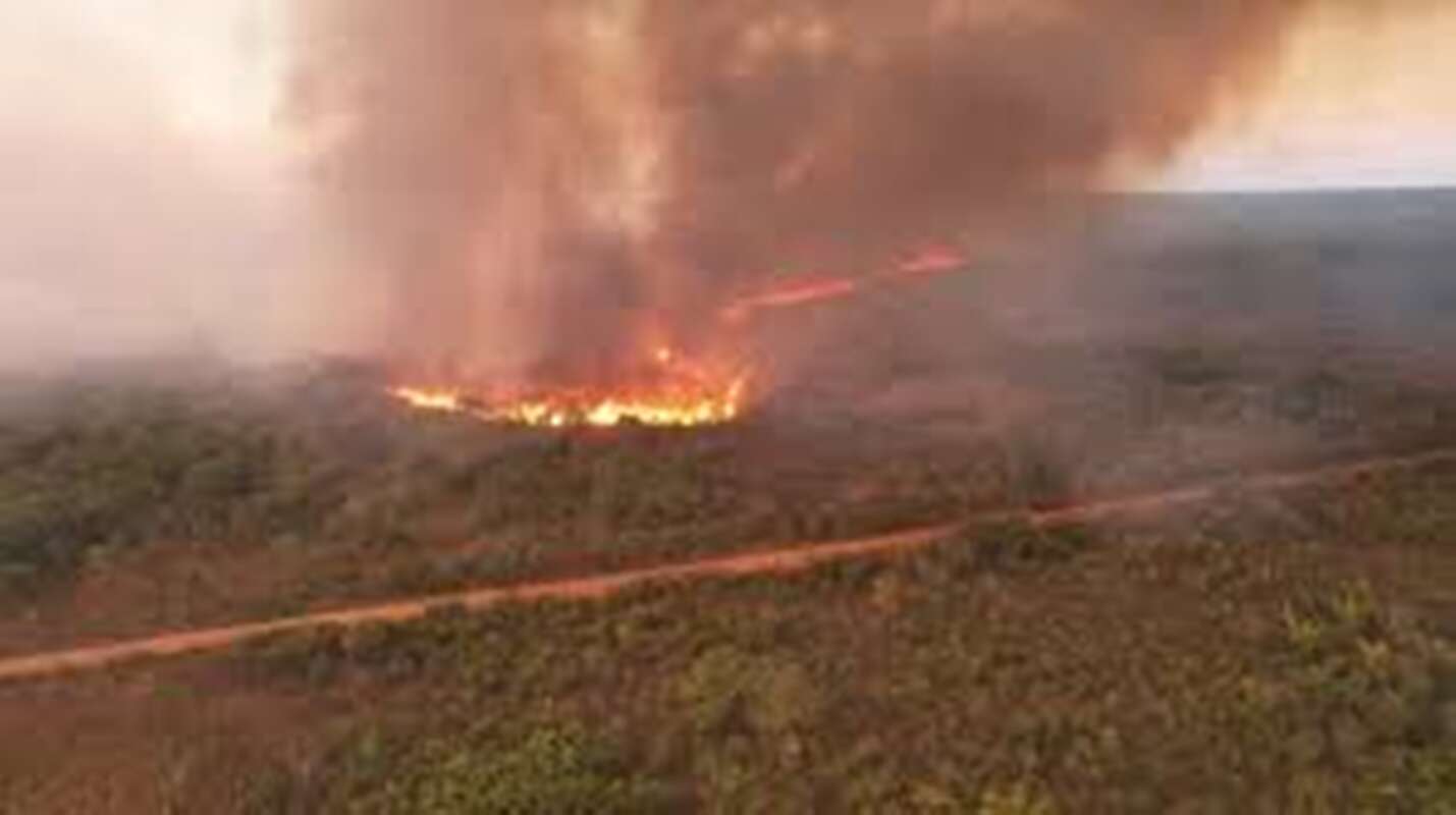 Brigadista do Ibama morre durante combate a incêndio em Terra Índigena