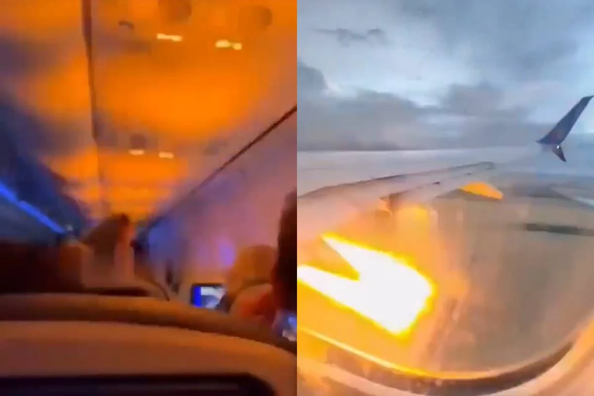 Avião pega fogo e faz pouso de emergência após turbina sugar coelho