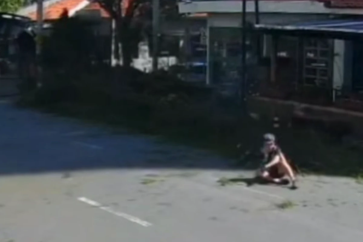 Que susto! Ciclista escapa de queda de árvore por milímetros. Vídeo