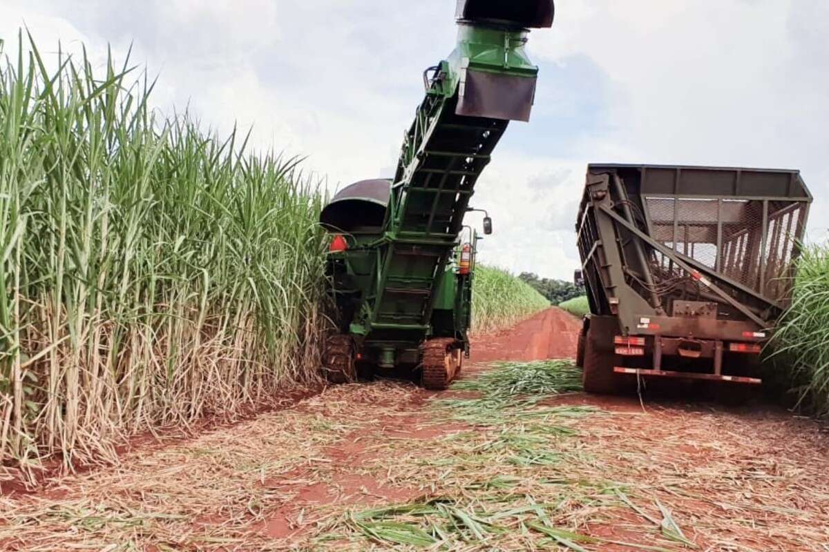 Gigante do agro, ACP Bioenergia é investigada por contaminar vizinhos