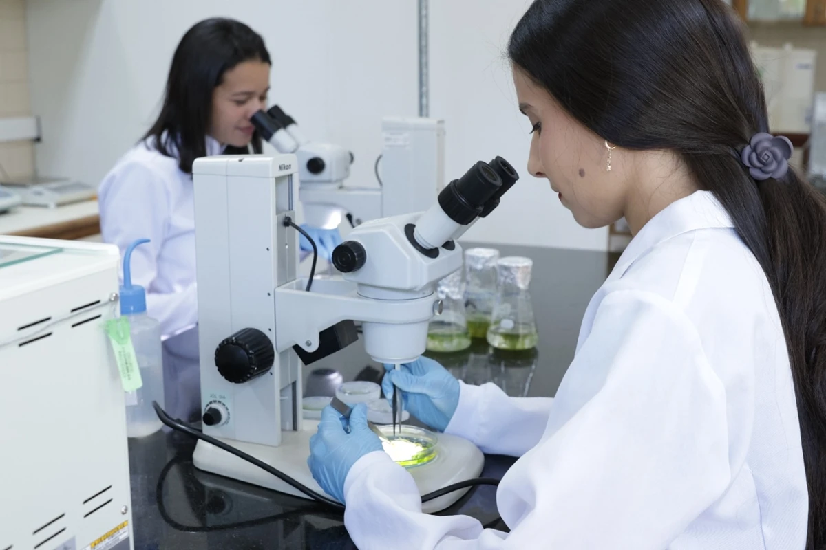 Grupo do DF vai ao Ártico para estudar plantas que podem tratar câncer