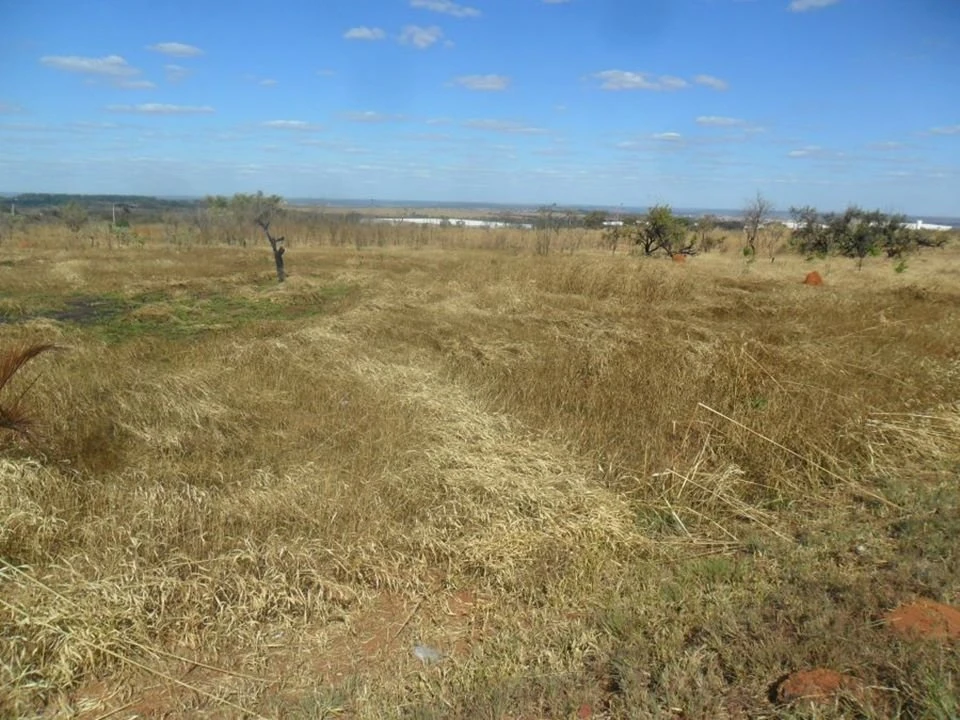Leilão da Terracap tem terreno no Polo JK e bancas de jornal no Noroeste