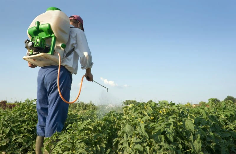 Governo federal registra mais 64 agrotóxicos; um é extremamente tóxico