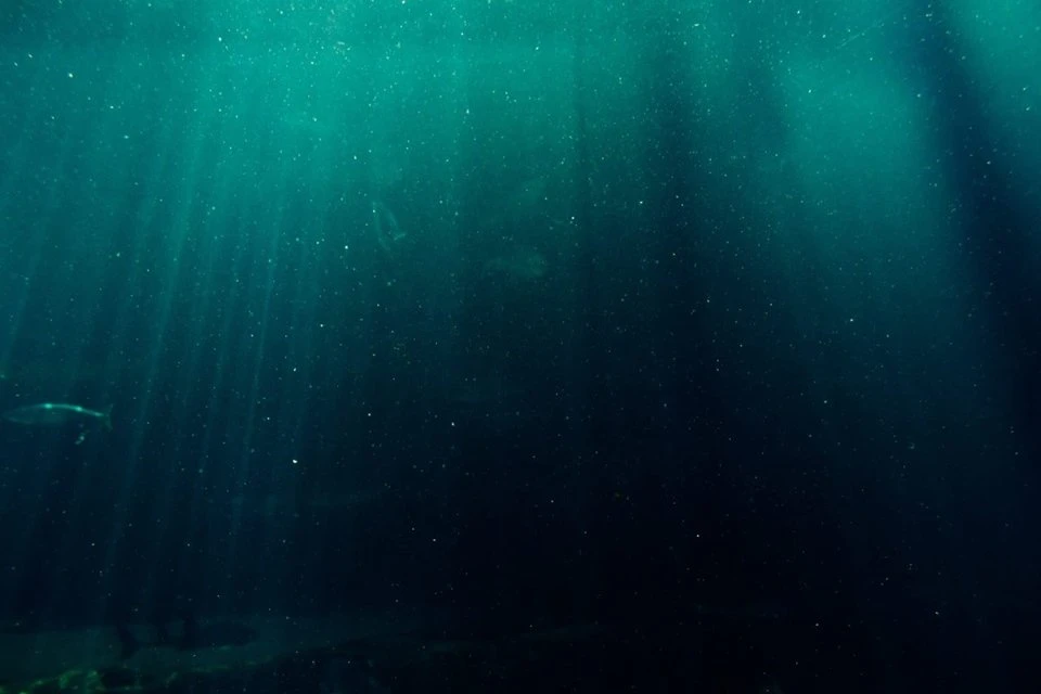 Os locais mais profundos e frios do oceano estão aquecendo, aponta estudo