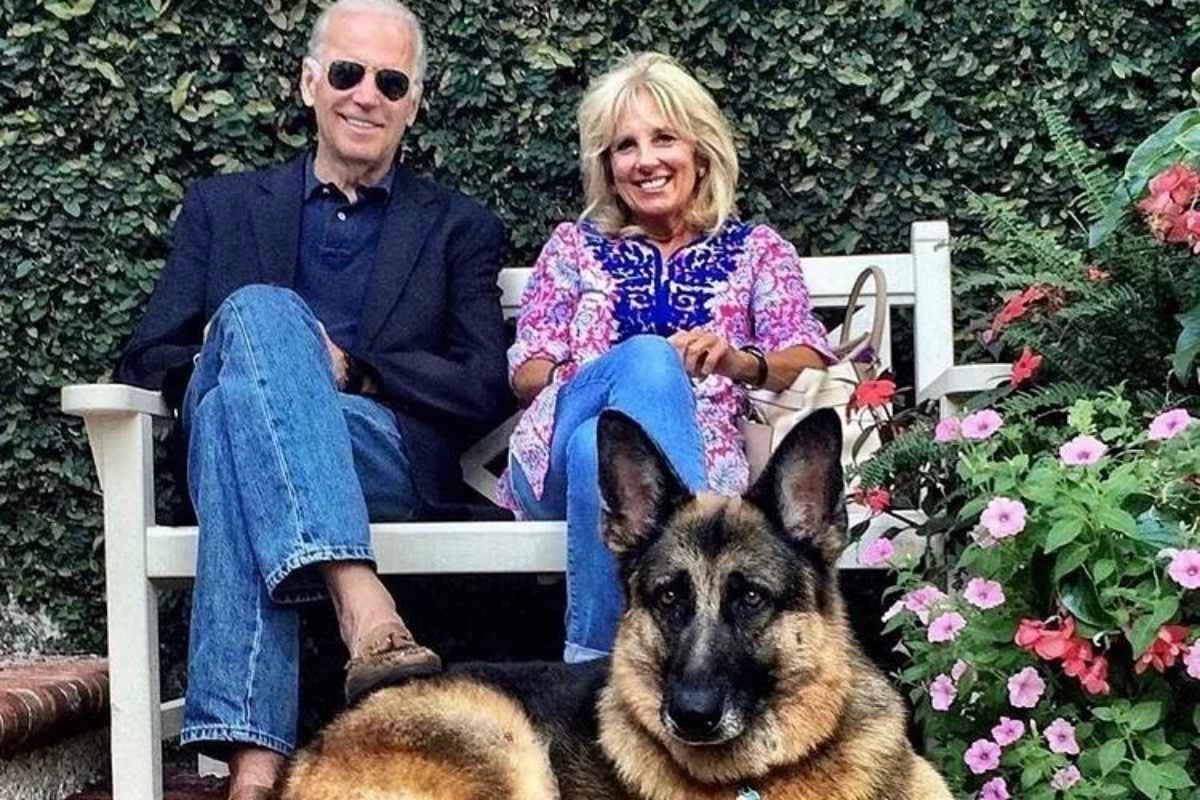 Casa Branca vai voltar a ter ânimo: Biden tem dois cachorros para levar