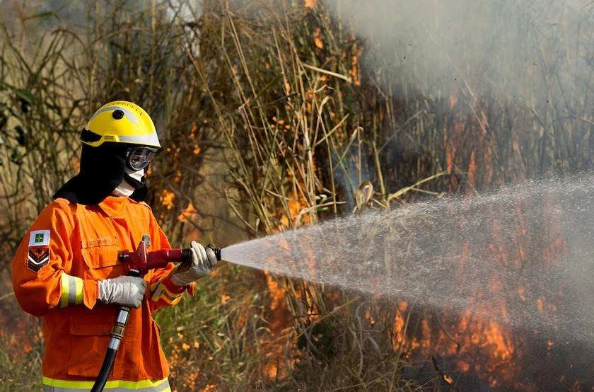 DF: inscrições para seleção de brigadistas florestais vão até 28/6