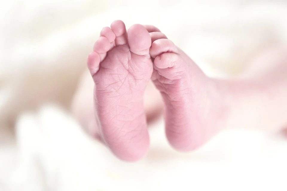 Bebê prematuro “volta à vida” seis horas após ser declarado morto