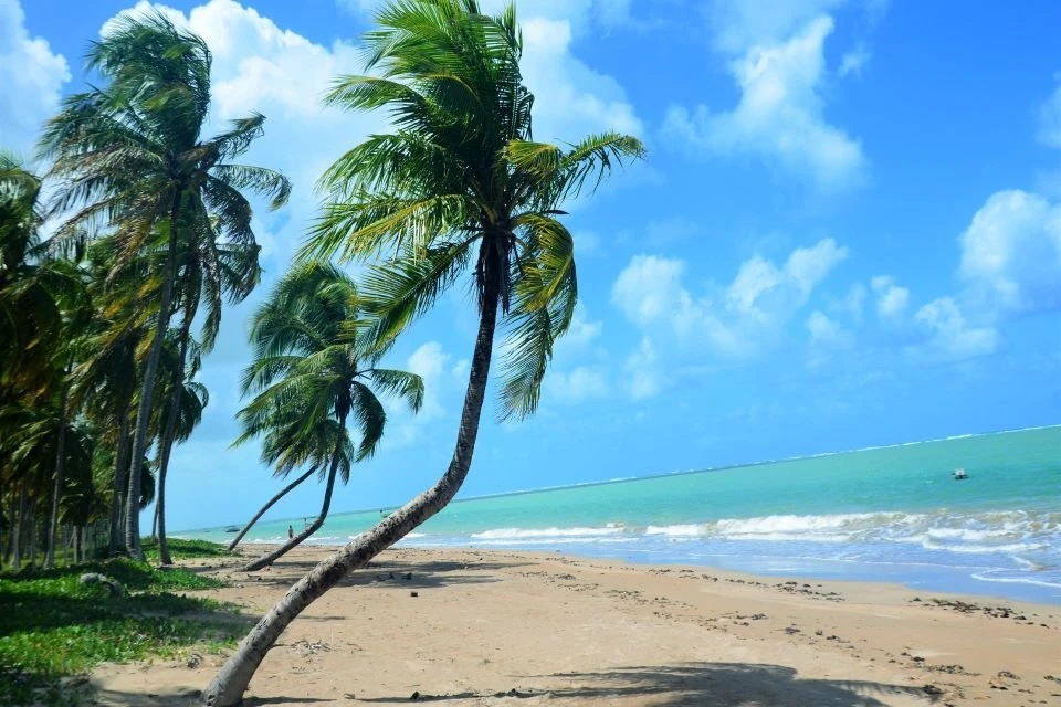 Ainda dá tempo! Viagem para São Miguel dos Milagres sai por R$ 769