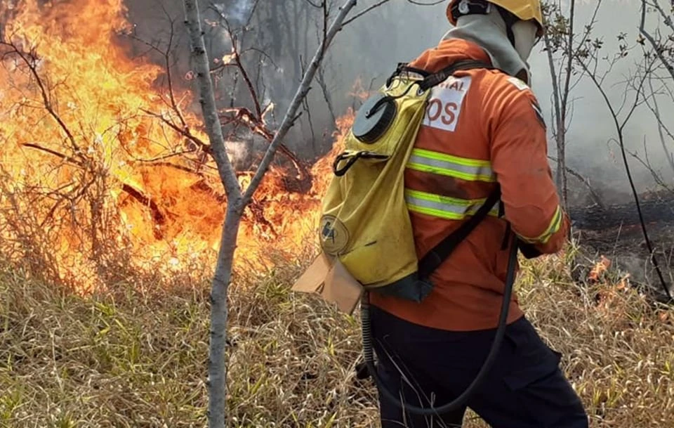 Apesar dos recordes de calor, incêndios florestais caem pela metade no DF