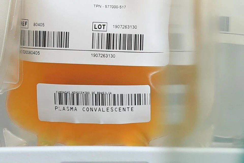 UnB e Universidade de NY se unem em pesquisa com plasma de curados da Covid-19