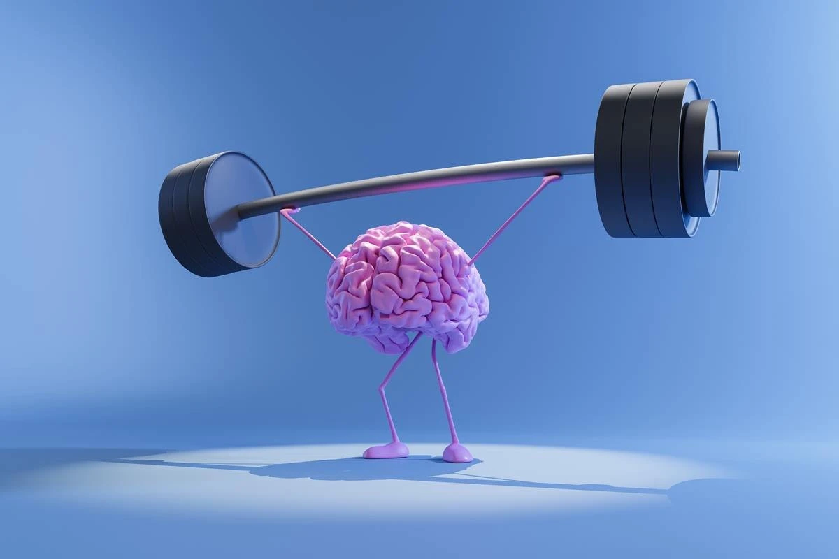Volume do cérebro está aumentando nos humanos. Saiba o que significa