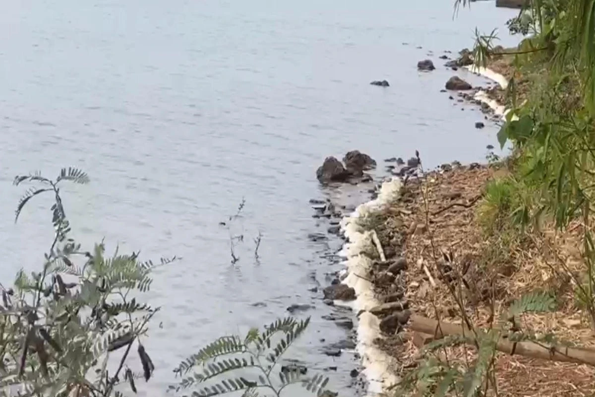 Espuma intriga frequentadores da orla do Lago Paranoá