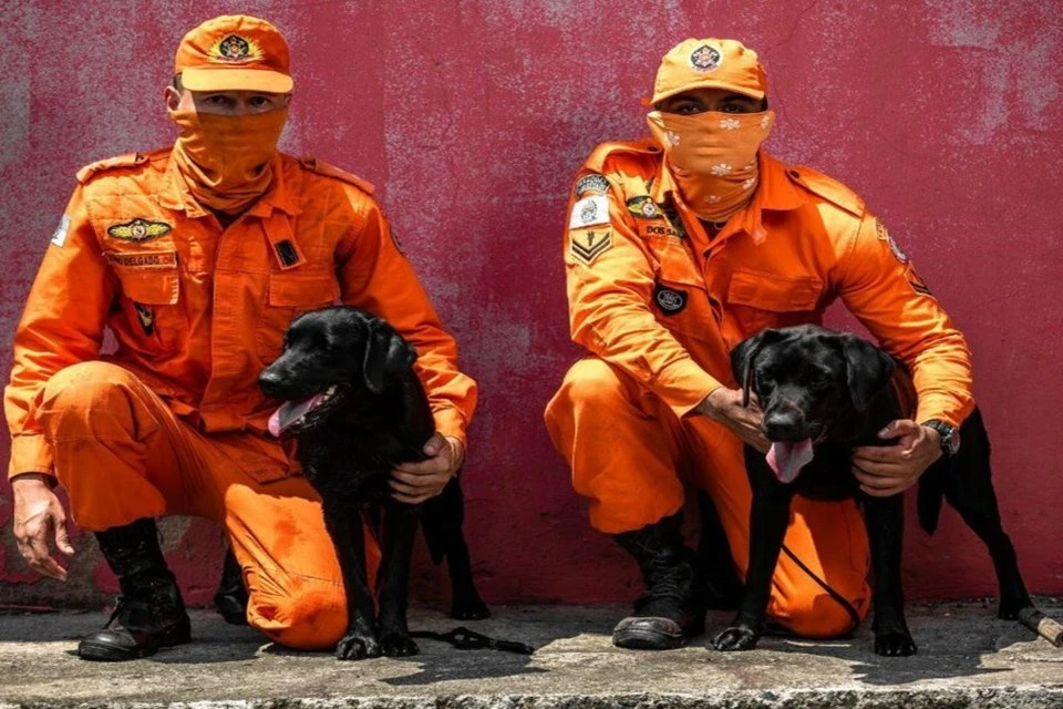 Corpo de Bombeiros RJ conta com “estagiários” de quatro patas