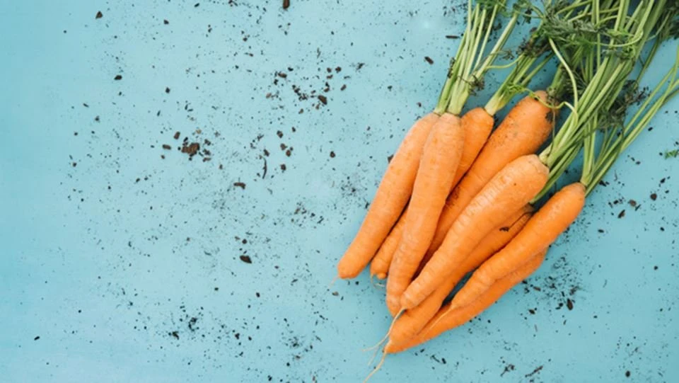 Pele de verão: cinco alimentos que ajudam a manter a saúde da cútis