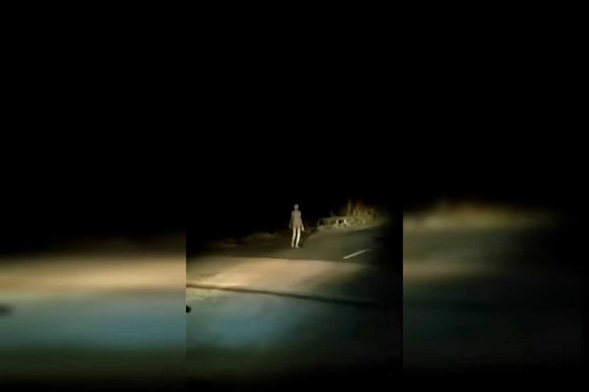 Depois da “mulher zumbi de Seattle”, é a vez do “alienígena” da Índia