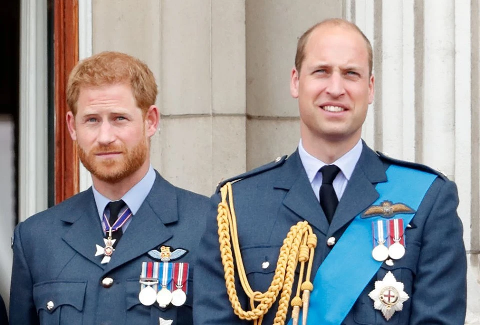 Apenas uma “terrível tragédia” reaproximaria William e Harry, diz escritora