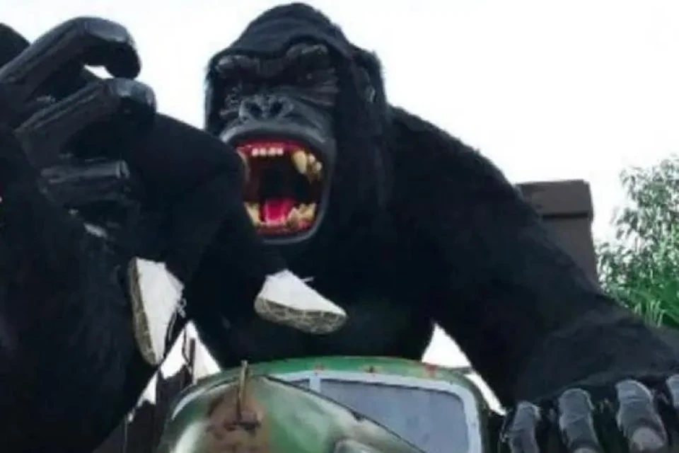 Criança fica em estado grave ao cair de atração no Beto Carrero World