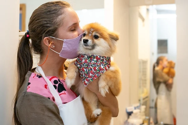Lambeijos: especialistas explicam se beijar o pet faz mal para a saúde