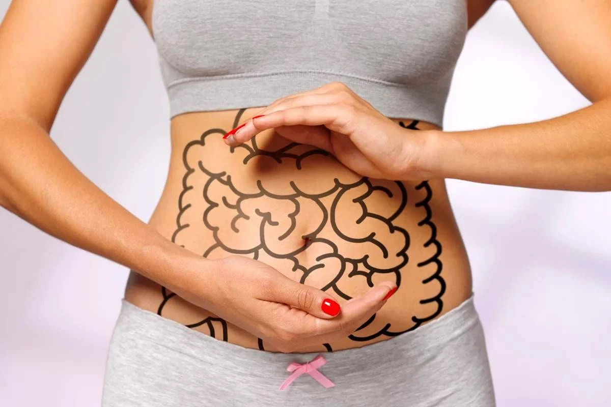 Desequilíbrio intestinal leva a sintomas de ansiedade, sugere estudo