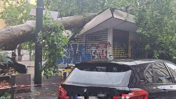 Il Nord Italia nella tempesta, donna schiacciata da un albero. Oggi ancora allerta per 12 regioni