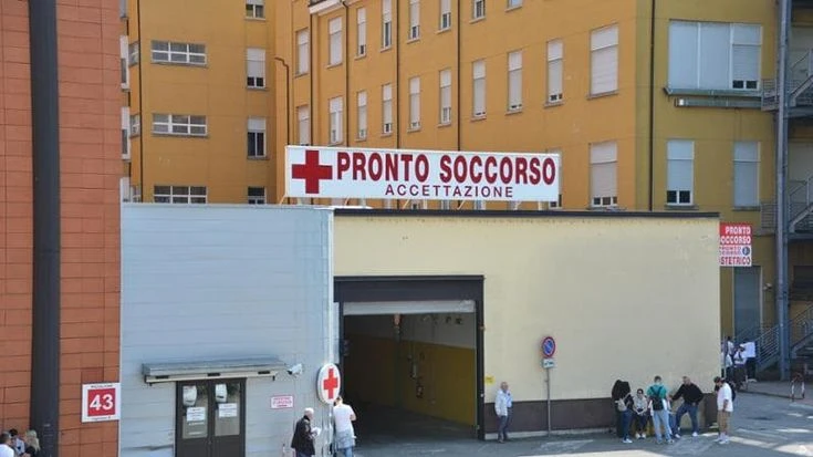 Tenta di strangolare col guinzaglio la compagna che si getta dal balcone: arrestata nel Pavese