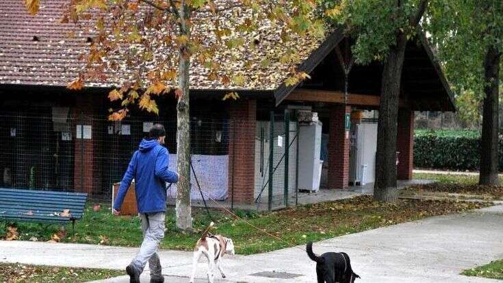 “Adotta un amico a quattro zampe”: giornata aperta al Parco rifugio canile e gattile del Comune di Milano tra patentino per bambini e visite guidate