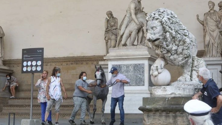 L'associazione di tutela dei cavalli: 