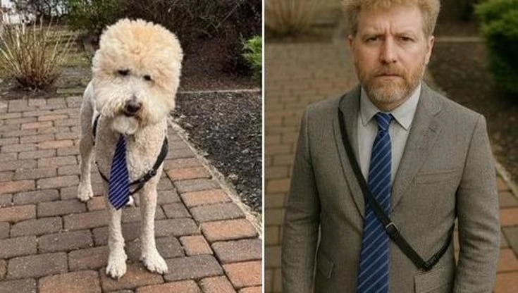 ChatGpt, il nuovo fenomeno IA: trasformare i cani in esseri umani