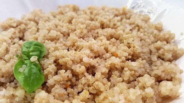 Cremona, mangiare sano non è reato: faceva mangiare all’anziano padre quinoa e pane di segale, assolto dall’accusa di maltrattamenti