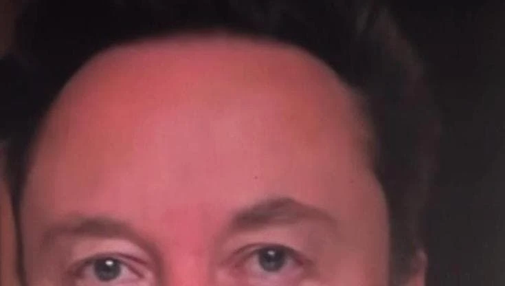 Dazi, Musk: 