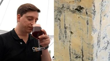 Birra alla ciliegia e gorgonzola piccante: ecco l'abbinamento perfetto per fare colpo