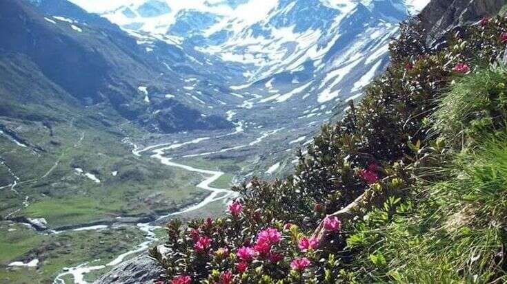 Imbrattano una chiesa antica nel Parco nazionale dello Stelvio, denunciati 5 turisti stranieri