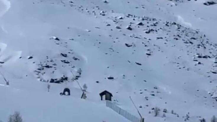 Tre lupi a spasso sulle piste da sci a Santa Caterina Valfurva: 