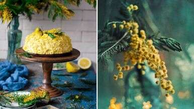 Torta Mimosa: storia del dolce simbolo dell'8 marzo