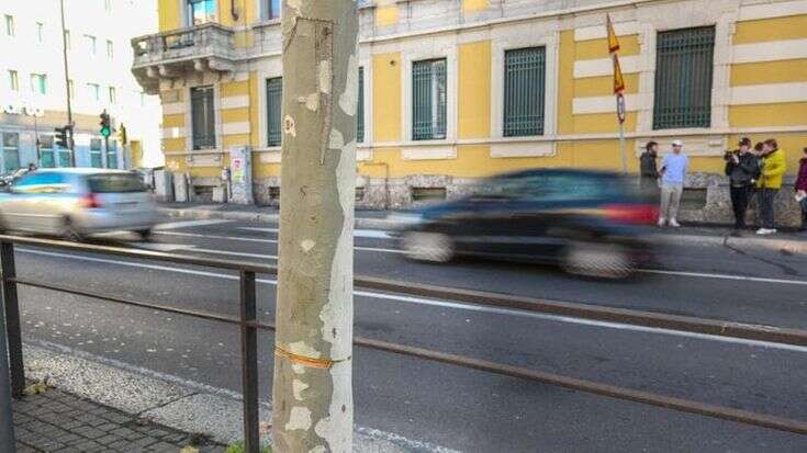 Cavo d’acciaio in viale Toscana, domiciliari per Michele Di Rosa: verso la richiesta di giudizio immediato per i ragazzi arrestati