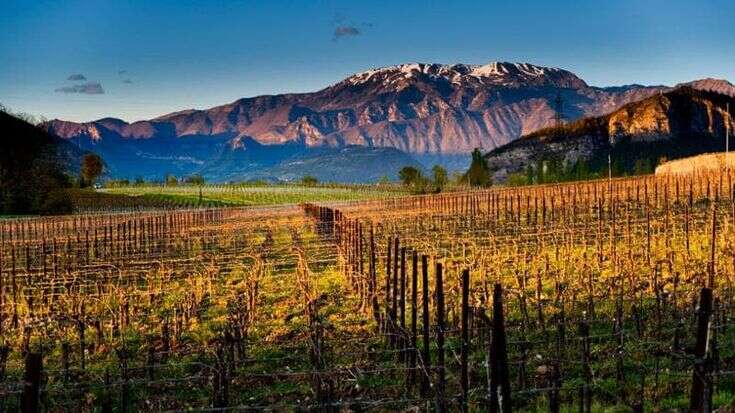 Franciacorta: frenano i volumi ma cresce il fatturato, segno della solidità del brand