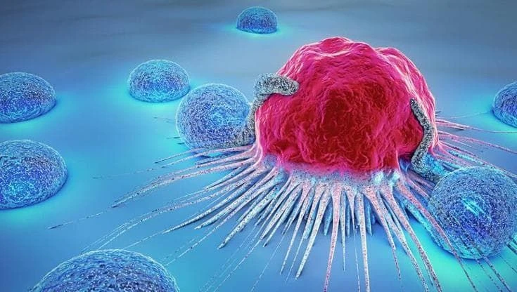 Tumori, scoperta la proteina che ‘blocca’ le difese immunitarie