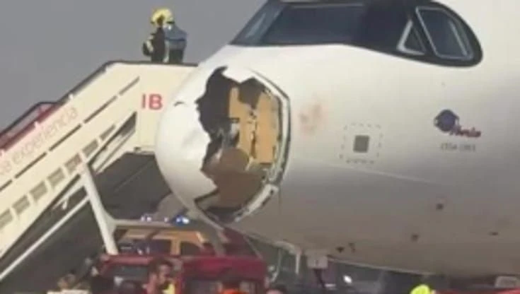 Madrid, l’aereo decolla e centra uno stormo: muso danneggiato, costretto all'atterraggio d’emergenza
