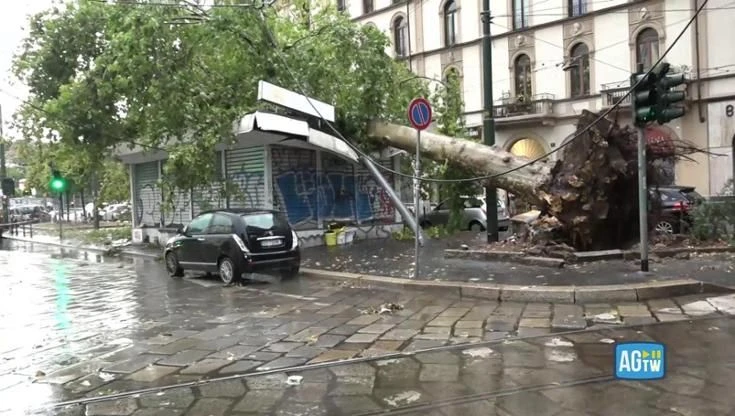 Nubifragio a Milano, albero cade su edicola in piazza Baiamonti