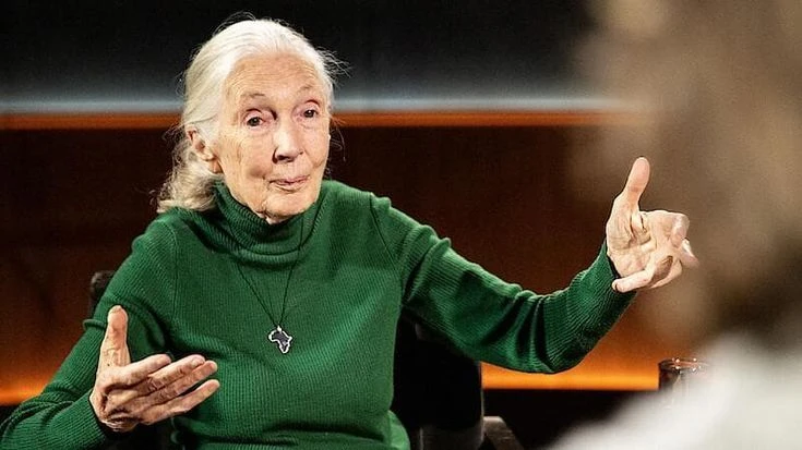 Jane Goodall e le “ultime parole famose”. Netlix lancia i doc “post mortem”