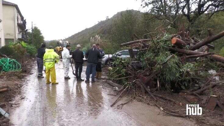 Maltempo in Liguria, esonda il Bormida: le ruspe al lavoro per togliere rami e detriti dalle strade