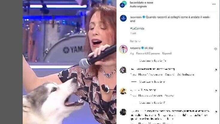 Katy Perry si complimenta con il cane che canta “Roar” alla Corrida