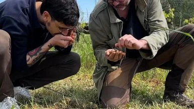 In vigna con Stefano Denci: 
