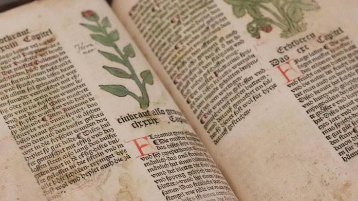 Manoscritto di Voynich: ecco come è stato decifrato il libro più misterioso al mondo
